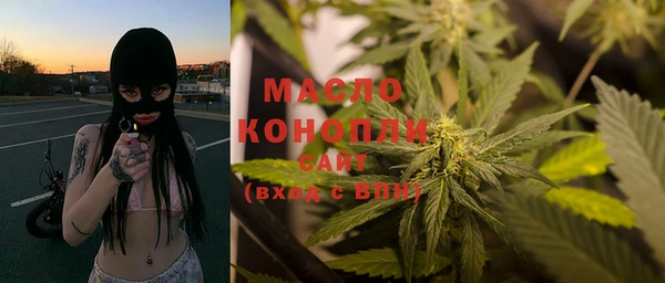 скорость Вяземский