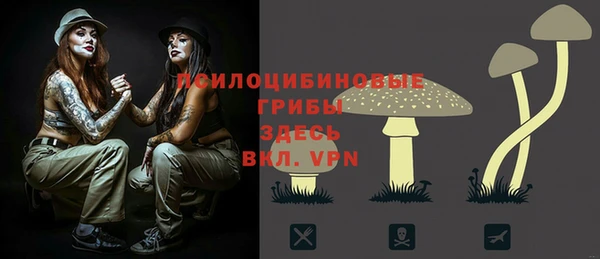 скорость Вяземский