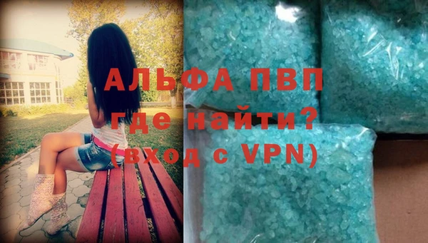 скорость Вяземский
