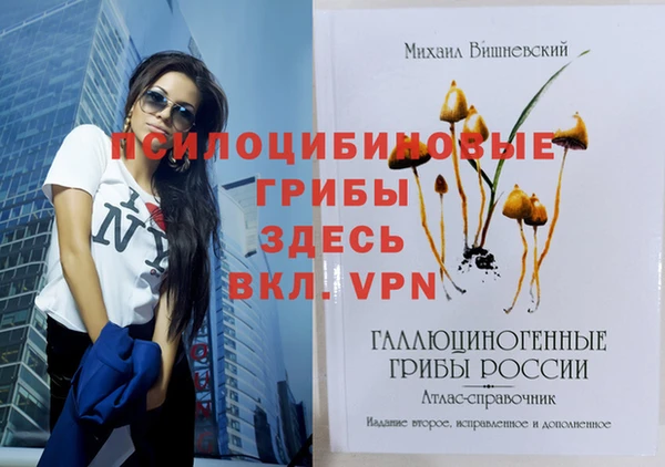 скорость Вяземский