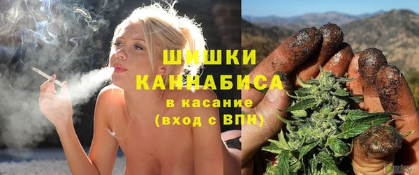 скорость Вяземский