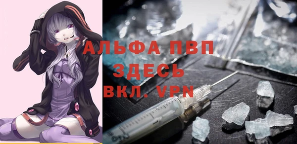 скорость Вяземский