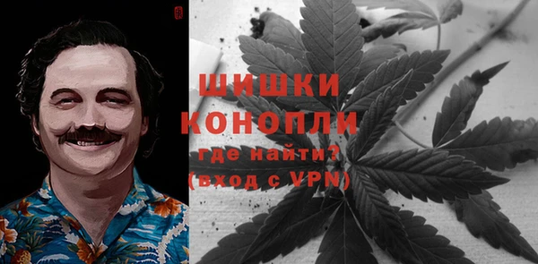 скорость Вяземский