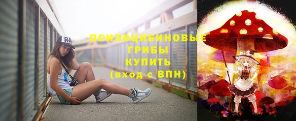 скорость Вяземский